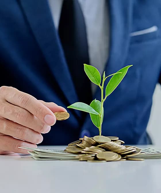 Plant growing in coin jar